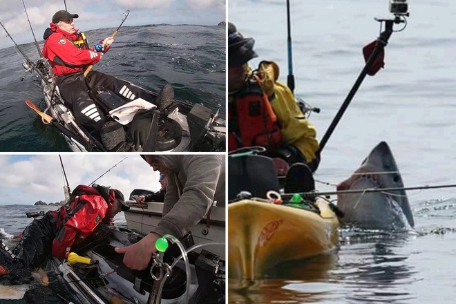 Video: Giằng co với cá mập, bị kéo lật xuồng - Ảnh 2.