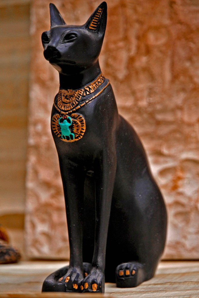Tại sao người Ai Cập cổ đại lại tôn sùng mèo? - Ảnh 3.