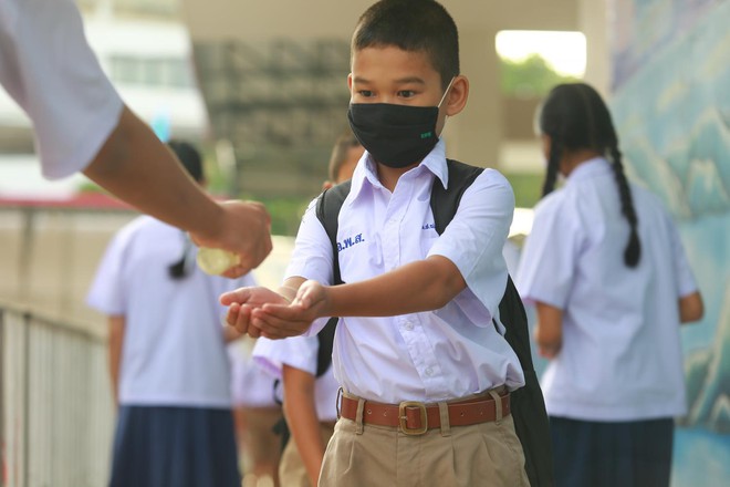 Loại ᴛʜảo dược Thái Lan khẳng định chữa được Covid-19: Việt Nam cũng trồng nhiều - Ảnh 4. Loại ᴛʜảo dược Thái Lan khẳng định chữa được Covid-19: Việt Nam cũng trồng nhiều - Ảnh 4.