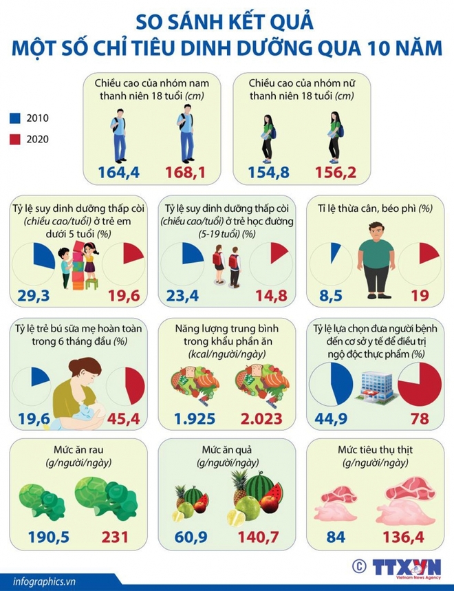 Bức tranh tổng thể về dinh dưỡng của người Việt năm 2020 - Ảnh 1.
