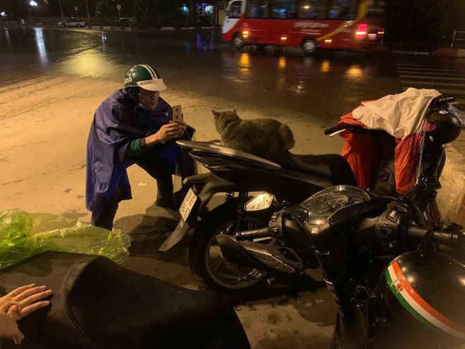 Đang chở khách thấy chú mèo quá khác lạ, tài xế công nghệ liền quay lại và đưa ra đề nghị khiến tất cả rụng tim - Ảnh 1. Đang chở khách thấy chú mèo quá khác lạ, tài xế công nghệ liền quay lại và đưa ra đề nghị khiến tất cả rụng tim - Ảnh 1.