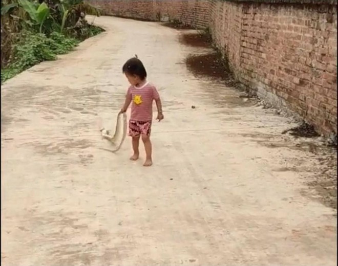 Em bé đi trên đường làng, nhìn kĩ đồ cầm ở tay, tất cả đều kinh hãi - Ảnh 1.