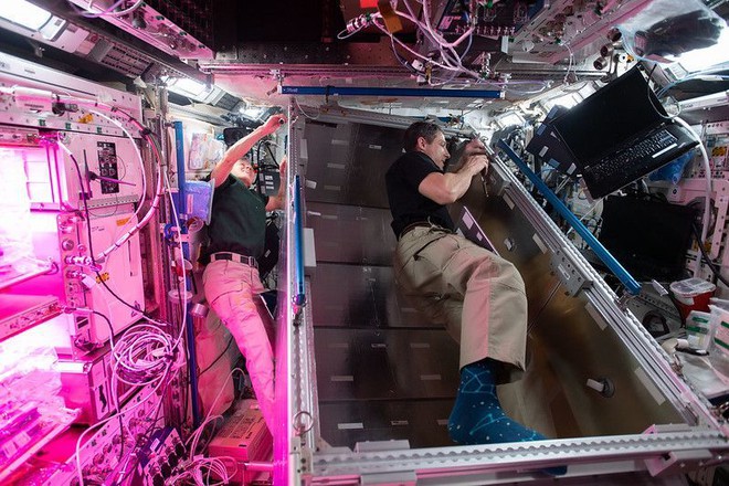 11 người trên Trạm vũ trụ quốc tế, lập kỷ lục mới nhưng phi hành gia lo thiếu chỗ ngủ? - Ảnh 3.