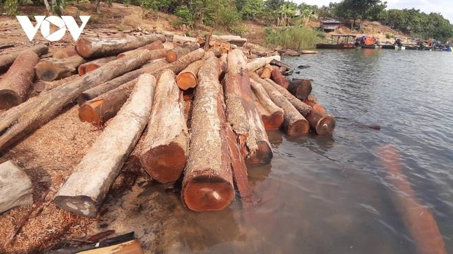 Cận cảnh kho gỗ lậu cực lớn dưới lòng hồ Thuỷ điện Sê San 4 - Ảnh 3.