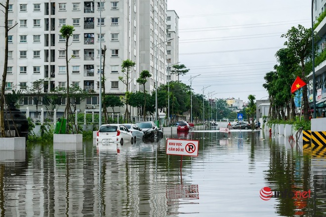 Ô tô đậu quanh nhà bị ngập sâu, hư hỏng có được bảo hiểm bồi thường? - Ảnh 8.