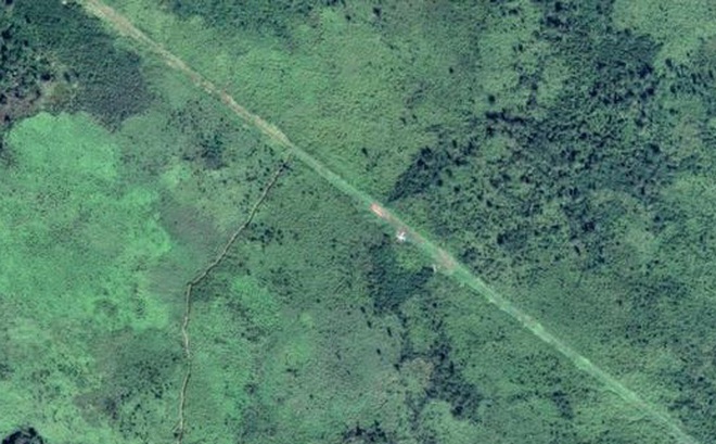 Một người khẳng định đây là con đường buôn lậu ma túy của khu vực rừng rậm Trung Mỹ