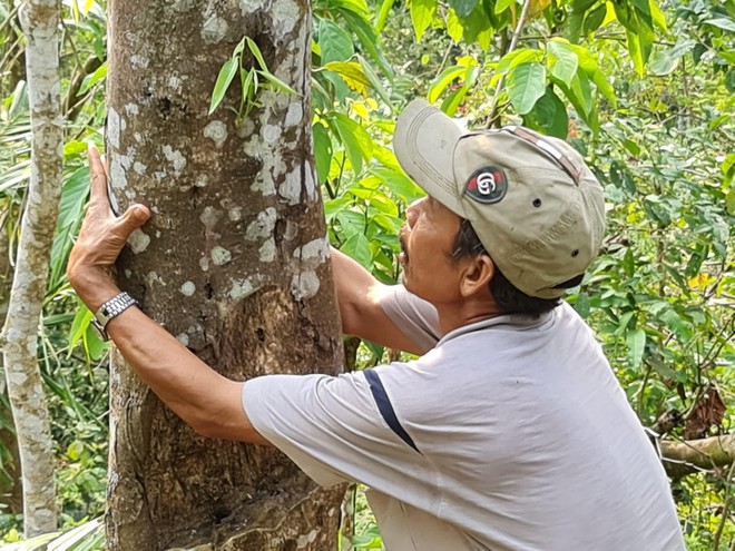 Những người nuôi mộng tỷ phú trầm hương - Ảnh 1.