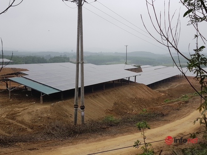 Hàng loạt dự án điện mặt trời lách luật, núp bóng trang trại, lợi dụng ưu đãi ở Hà Tĩnh - Ảnh 1.