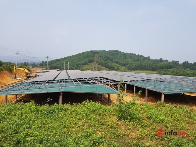 Hàng loạt dự án điện mặt trời lách luật, núp bóng trang trại, lợi dụng ưu đãi ở Hà Tĩnh - Ảnh 5.