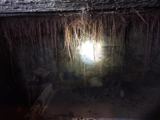 Căn hầm dưới phòng ăn nhiều năm đóng im ỉm, khi mở ra cảnh tượng bên trong khiến chủ nhà xanh mặt - Ảnh 9.