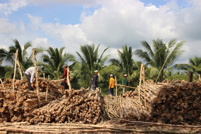 Khu chợ tràm bán đắt hàng như tôm tươi ở Cà Mau - Ảnh 6.