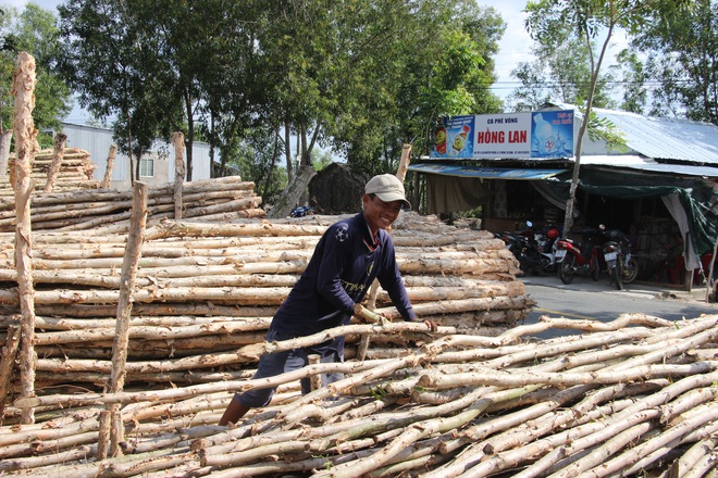 Khu chợ tràm bán đắt hàng như tôm tươi ở Cà Mau - Ảnh 5.