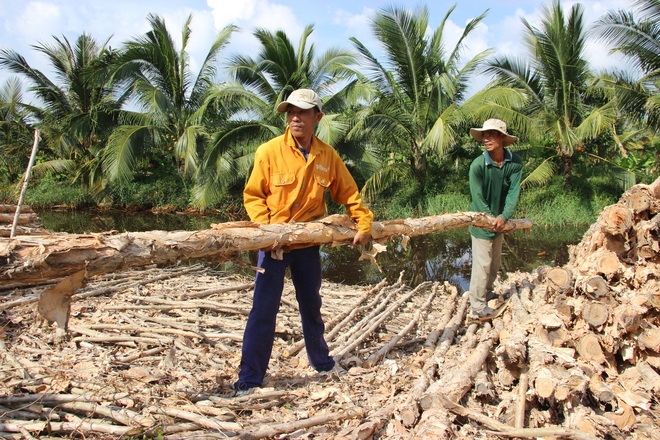 Khu chợ tràm bán đắt hàng như tôm tươi ở Cà Mau - Ảnh 10.