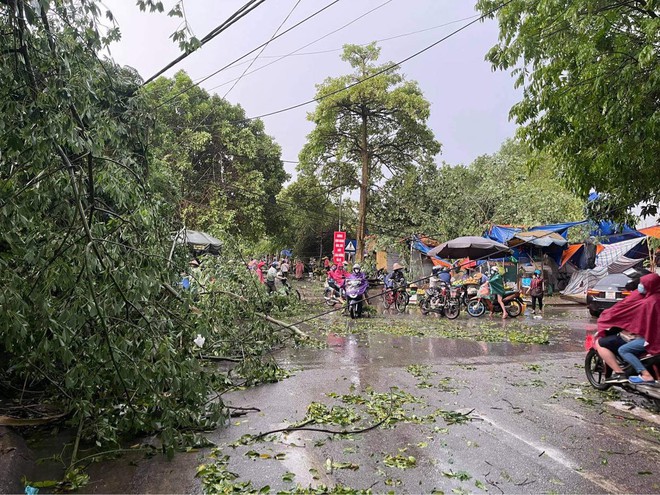 Hà Nội: Hàng loạt cây xanh bật gốc đổ rạp xuống đường sau cơn mưa lớn đầu mùa - Ảnh 2.