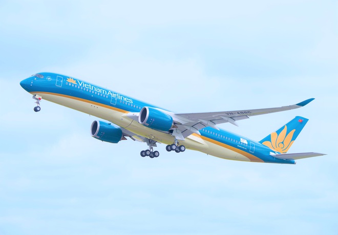  Vietnam Airlines và Bamboo Airways chưa đủ điều kiện bay tới Mỹ - Ảnh 2.