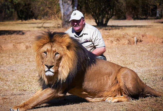 Chỉ với vài hành động đơn giản, người đàn ông này đã làm những con sư tử đực hài lòng 100% - Ảnh 2.