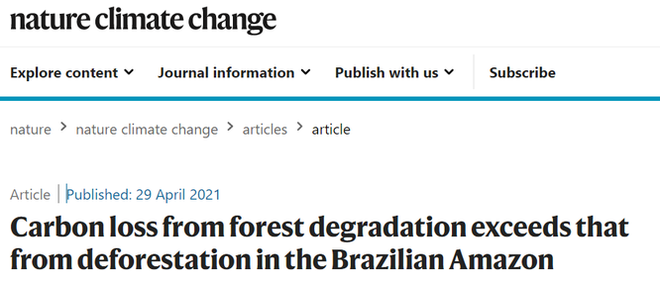 Lá phổi của Trái đất đang kêu cứu! Rừng nhiệt đới Amazon thải ra nhiều CO2 hơn lượng hấp thụ - Ảnh 1.