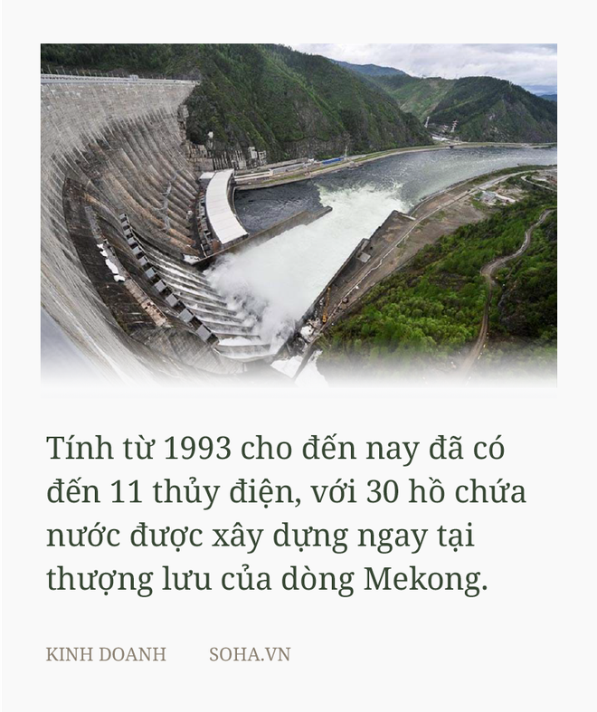 Thưa GS Võ Tòng Xuân, nói Trung Quốc hoàn toàn vô can là không đúng - Ảnh 2.