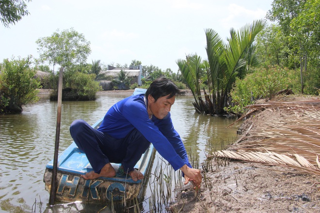 Nông dân Cà Mau tung tuyệt chiêu bắt ba khía có một không hai - Ảnh 2.