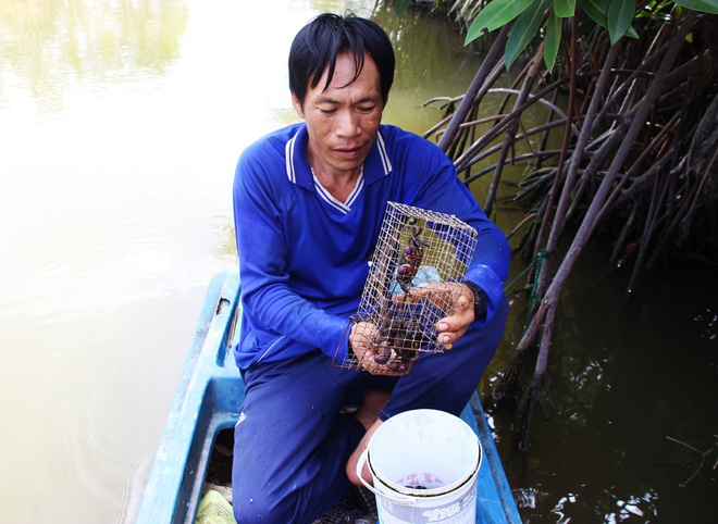 Nông dân Cà Mau tung tuyệt chiêu bắt ba khía có một không hai - Ảnh 8.