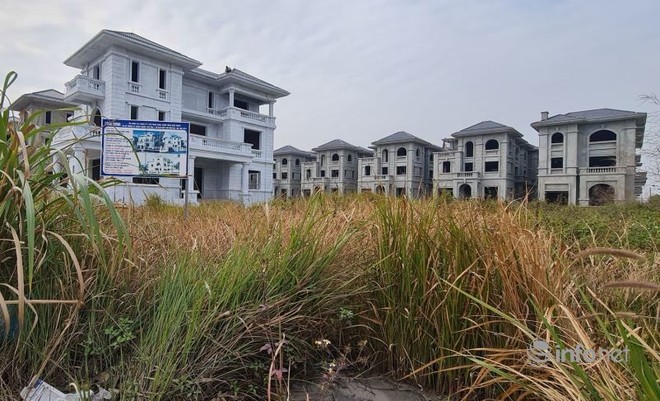 Điểm mặt những khu biệt thự trăm tỷ bỏ hoang ở Hà Nội, có bị đánh thuế? - Ảnh 3.