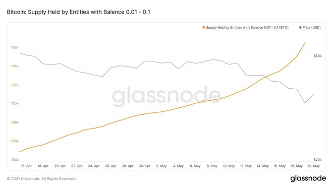 Cá con, cá mập đua nhau bắt đáy Bitcoin - Ảnh 1.