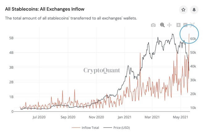 Cá con, cá mập đua nhau bắt đáy Bitcoin - Ảnh 3.