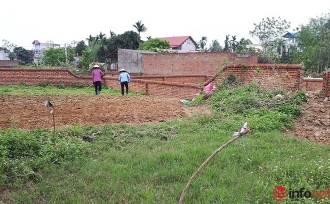 Nhà đầu tư có vốn mỏng, chỉ vài trăm triệu lựa chọn về quê đầu tư đất. (Ảnh: Minh Thư)