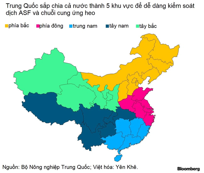 Nông dân Trung Quốc nếm trái đắng vì nhân giống heo siêu to khổng lồ - Ảnh 2.