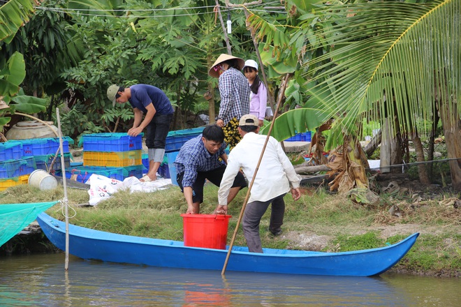 Đặt lú đuôi chuột bắt hàng chục kg cá kèo ở Cà Mau - Ảnh 6.