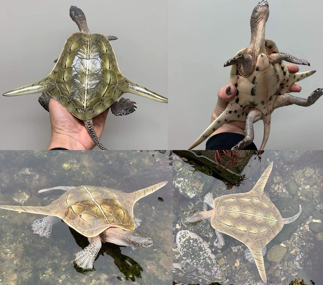 Bạn yêu thích động vật và đang tìm kiếm thông tin về chú rùa của cộng đồng mạng? Hãy xem hình ảnh đáng yêu của Rùa để khám phá thêm về những con vật thú vị này nhé!