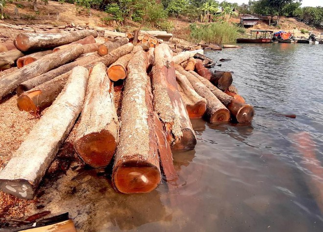  Vụ gỗ lậu dưới sông: Hiện trường bị đốt cháy ngùn ngụt, báo cáo lạ của cán bộ huyện  - Ảnh 1.