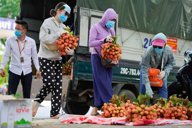 Đội nắng, xếp hàng mua vải ủng hộ nông dân Bắc Giang - Ảnh 5.
