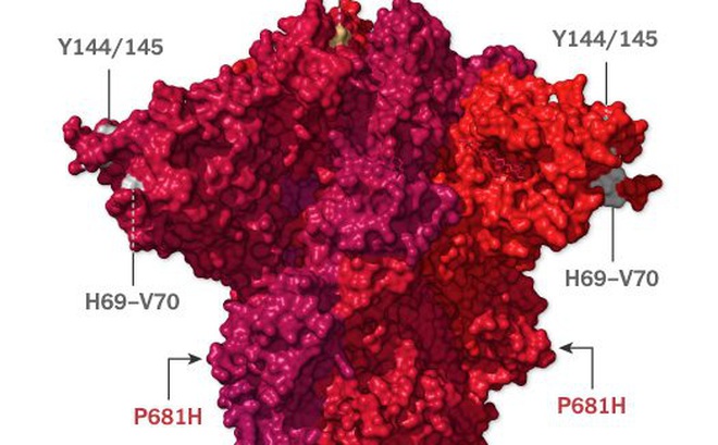 Phân tích kết quả giải trình tự gene cho thấy: Biến chủng SARS-CoV-2 mới xuất hiện tại Việt Nam rất nguy hiểm