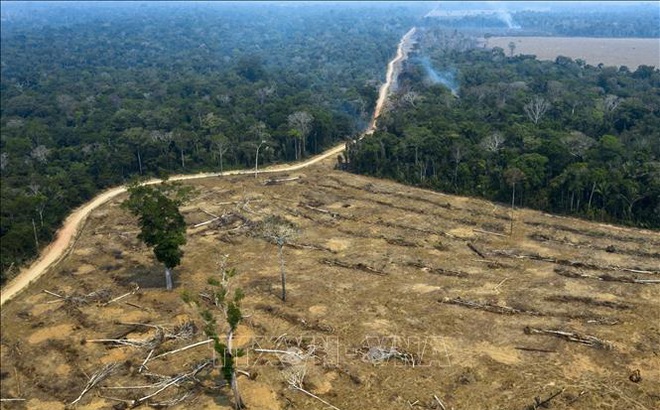 Một khoảng rừng Amazon bị thiêu rụi ở gần Porto Velho, bang Rondonia, Brazil. Ảnh tư liệu: AFP/TTXVN