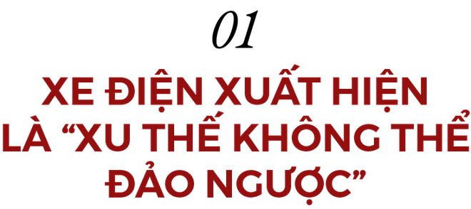 Từ xe điện chỉ có một nửa sự thật đến bé hạt tiêu Vinfast tại Việt Nam: Xanh mong manh! - Ảnh 1.