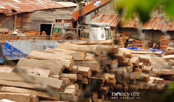 Vụ sai phạm tại Cục Thi hành án dân sự tỉnh Đắk Lắk: Cục trưởng nhiều lần xin nghỉ việc? - Ảnh 2.