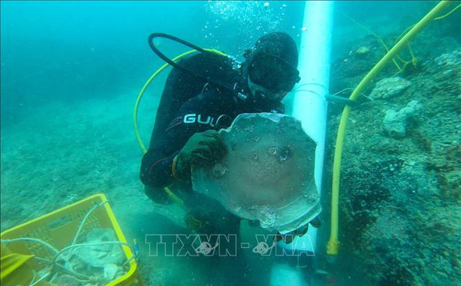 Đồ gốm sứ được phát hiện trên xác con tàu đắm ngoài khơi Pedra Branca, Singapore, ngày 16/6/2021. Ảnh: AFP/TTXVN