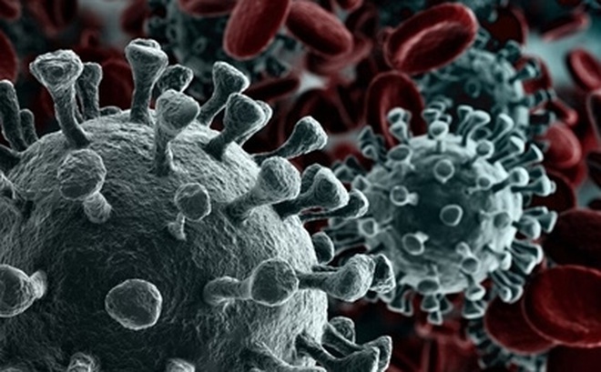 Hình ảnh mô phỏng virus SARS-CoV-2. Ảnh: ITN