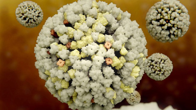 Trung Quốc phát hiện virus cúm gia cầm H10N3 lần đầu tiên ở người: Có nguy cơ lây lan rộng không? - Ảnh 2.