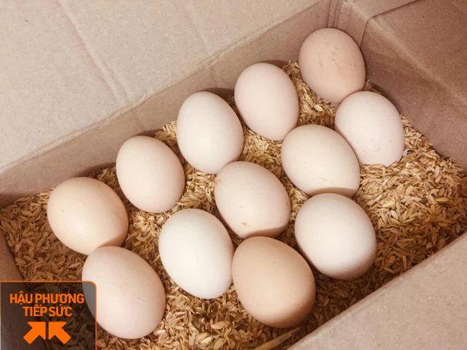 Anh nông dân tặng 12.000 quả trứng của gà nuôi bằng thảo dược, nghe nhạc Mozart cho y bác sĩ Bắc Giang - Ảnh 3.