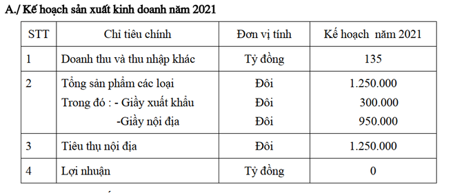  Mất cân đối thanh toán nợ ngắn hạn, Giày Thượng Đình bị nghi ngờ khả năng hoạt động liên tục - Ảnh 2.