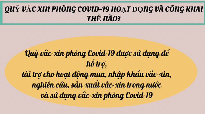 [Infographics] Quỹ vắc xin phòng Covid-19 công khai thu chi thế nào? - Ảnh 2.