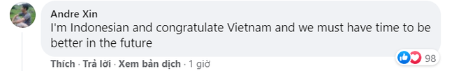 CĐV Đông Nam Á: Việt Nam là đội tuyển mạnh nhất khu vực - Ảnh 2.