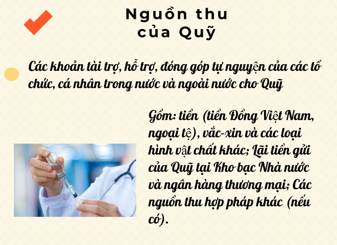 [Infographics] Quỹ vắc xin phòng Covid-19 công khai thu chi thế nào? - Ảnh 4.