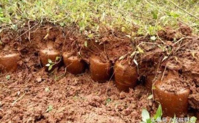 Vô số bình gốm cổ được người đàn ông tìm thấy khi đào thảo mộc trên núi. (Ảnh: Kknews)