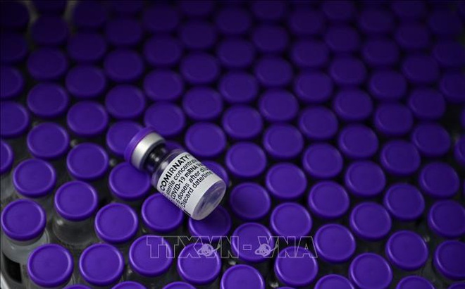 Vaccine ngừa COVID-19 của Pfizer/BioNtech. Ảnh: AFP/TTXVN