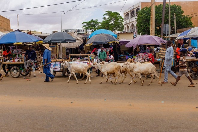 Lý do khiến quốc gia thuộc diện lớn nhất châu Phi bị COVID-19 ‘lãng quên’ - Ảnh 1.