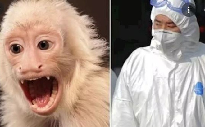 Bác sĩ thú y Trung Quốc mất mạng vì một loại virus vô cùng nguy hiểm. Ảnh: Dailystar