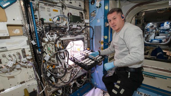 Lần đầu tiên phi hành gia trồng ớt trên Trạm vũ trụ quốc tế ISS - Ảnh 1.